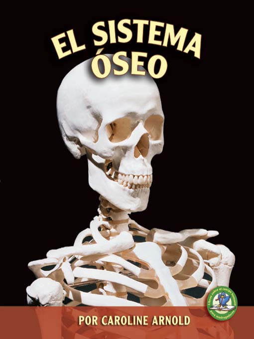 Title details for El sistema óseo (The Skeletal System) by Caroline Arnold - Available